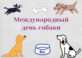 Международный день собак Международный день собак.