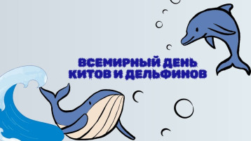 Всемирный день китов и дельфинов Всемирный день китов и дельфинов.